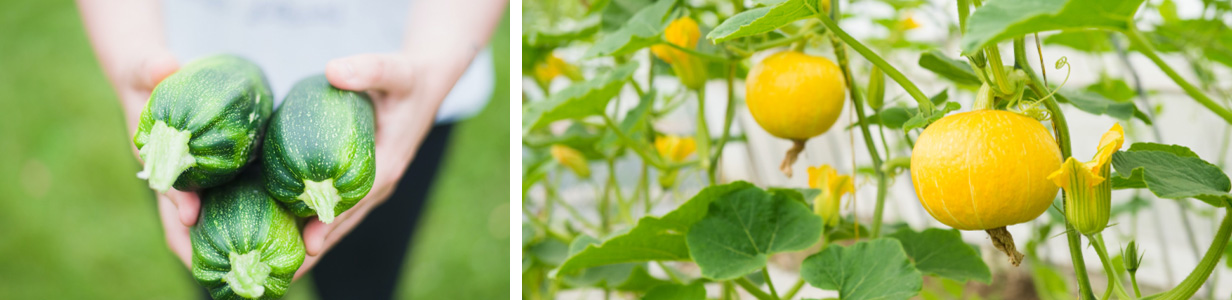 DDpay钱包(China)官网