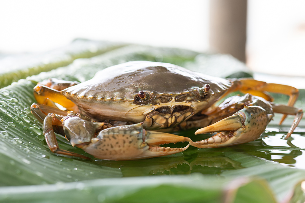 DDpay钱包(China)官网