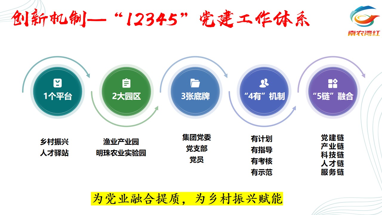 DDpay钱包(China)官网